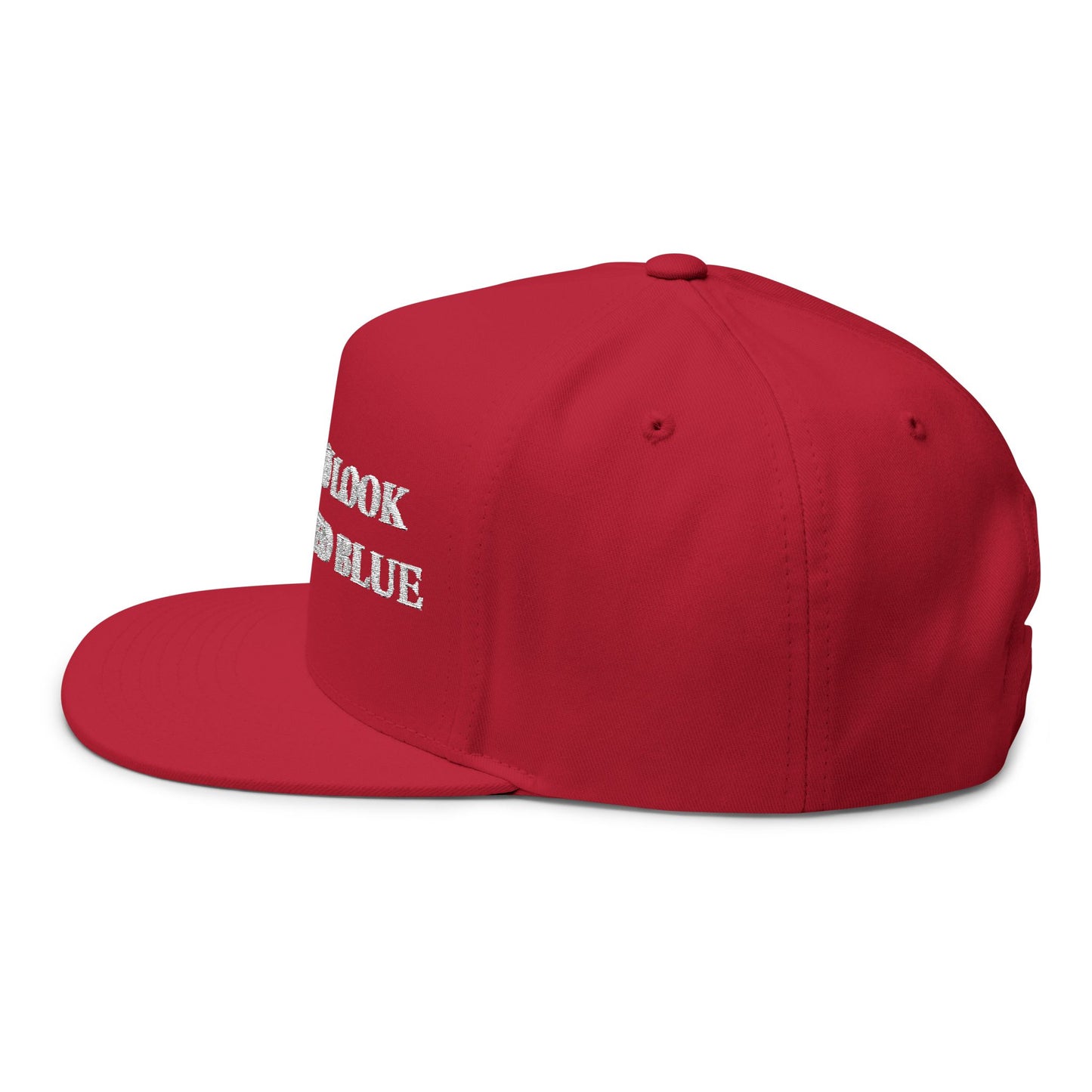 Made You Look Jesus Voted Blue Hat